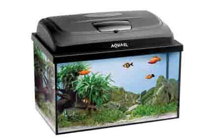 ZESTAW AKWARIOWY AQUA4START 60/P LT 124272