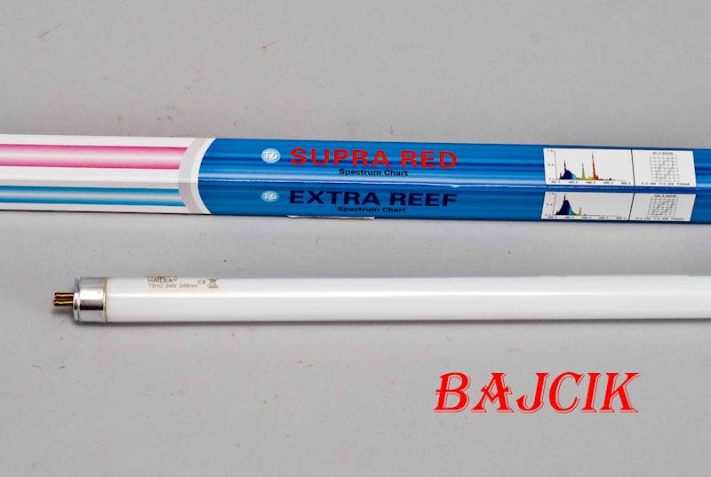 ŚWIETLÓWKA HAILEA T5 24W SUPRA RED