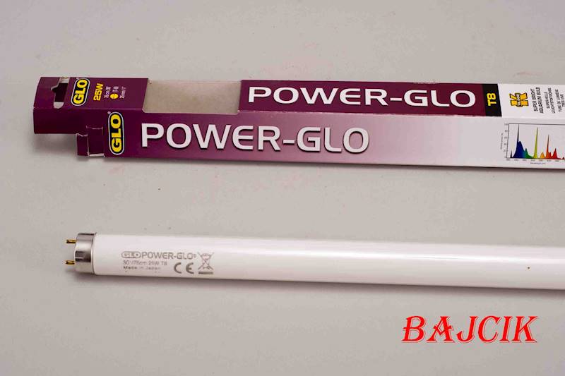 ŚWIETLÓWKA POWER GLO 20W 61cm