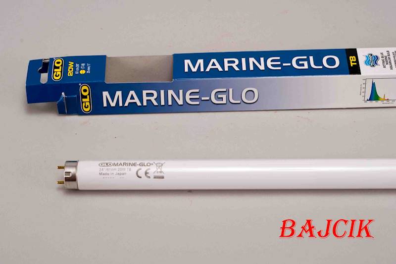 ŚWIETLÓWKA MARINE GLO 20W 61cm