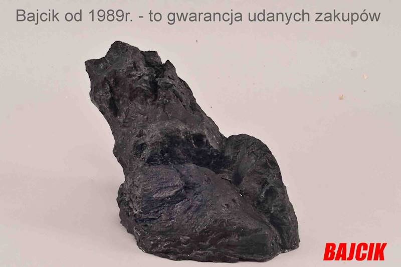 SKAŁA IWAGUMI ROCK M    251280