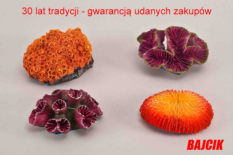 TRIXIE KORALOWIEC Z ZESTAWU    TX - 8809