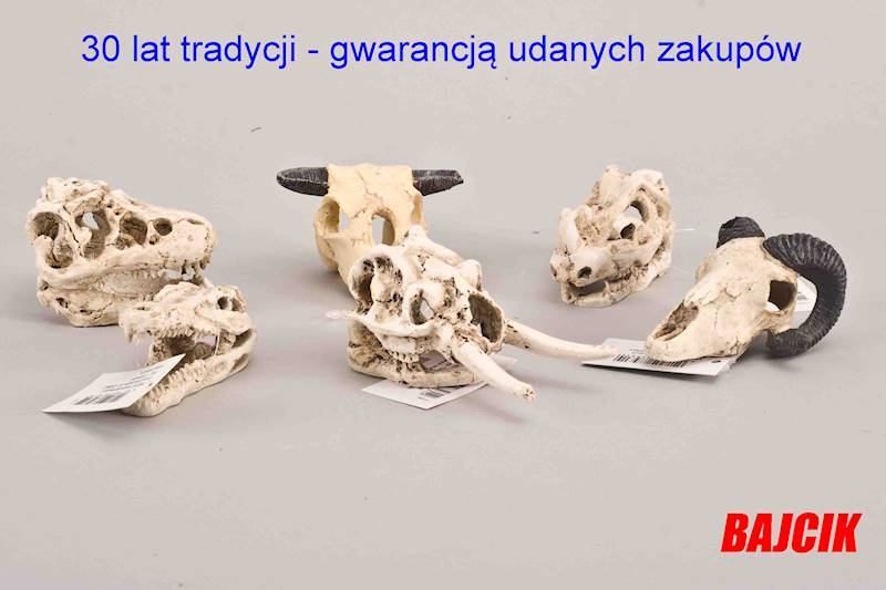 TRIXIE CZASZKA ZWIERZĘCA Z ZESTAWU   TX - 8793  