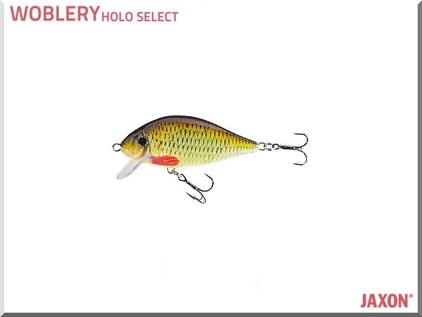WOBLER JAXON VJ-FT08EF