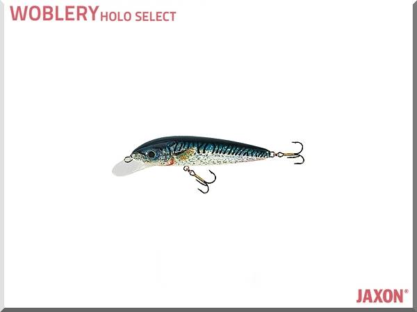 WOBLER JAXON HS CLASSIC VJ-C09FU