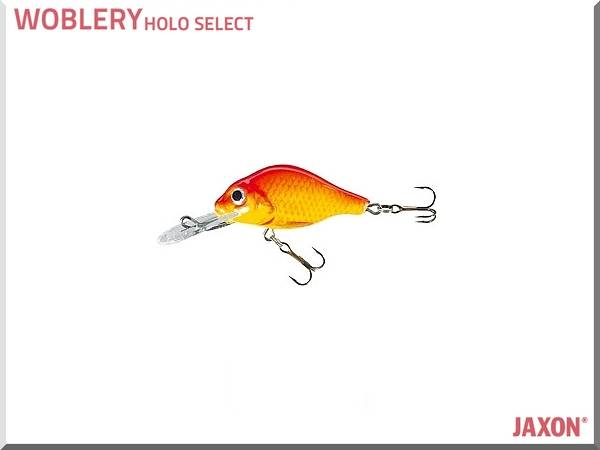 WOBLER JAXON HS ABRA VJ-BA04FEN