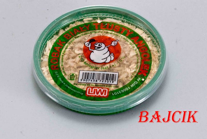 BIAŁE ROBAKI