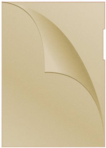 Obwoluta DONAU typu L, PP, A4, groszkowa, 120mikr.