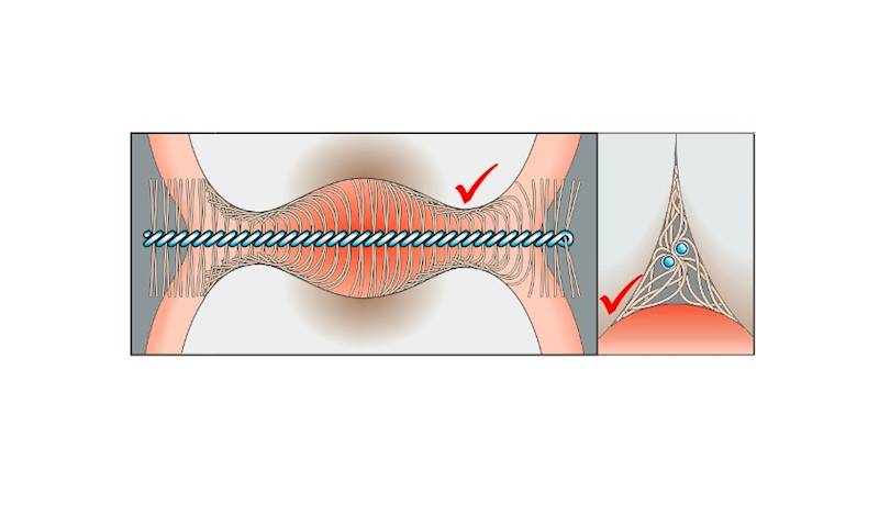 Proxi czyściki tandex