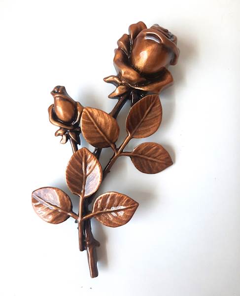 Róża caggiati 29351 18