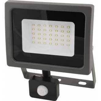 Lampa LED  30W Naświetlacz z czuj ruchu zimna Eco