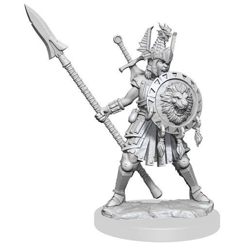 D&D Frameworks: W1 Female Human Fighter