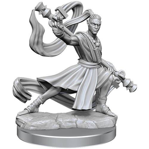 D&D Frameworks: W1 Male Elf Monk