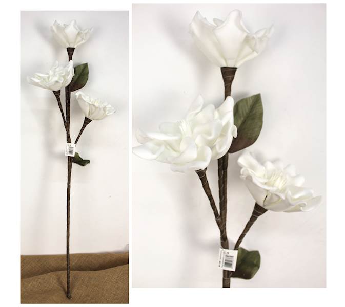 Magnolia piankowa "3", wys. 90 cm, biała, zielona