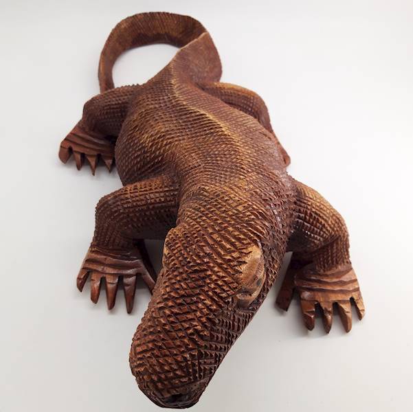 waran 80 cm