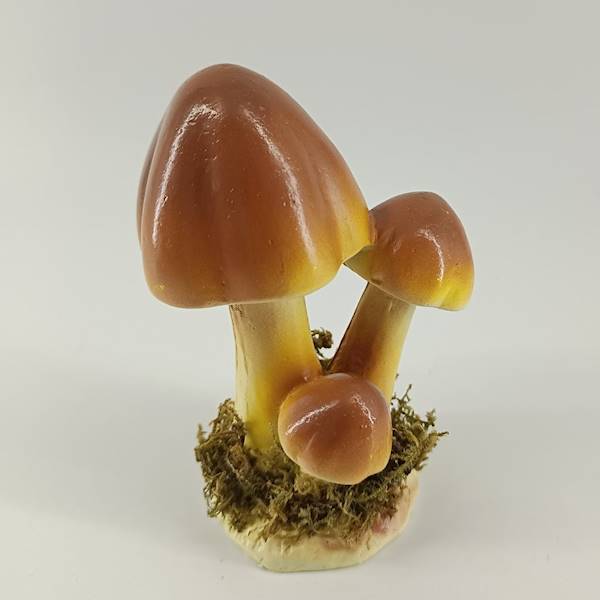 Grzyby