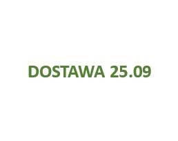 Czub na choinkę plastikowy złoty