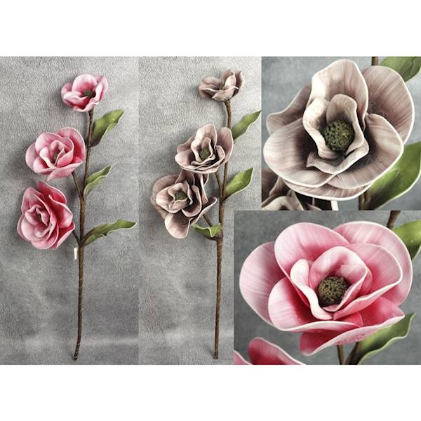 Magnolia pianka 3 kwiaty,3 liście, róż