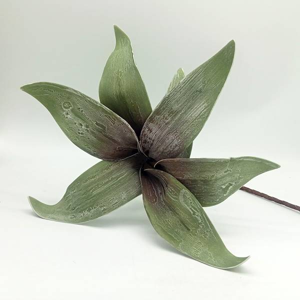 Kwiat  piankowy z liści zieleń 