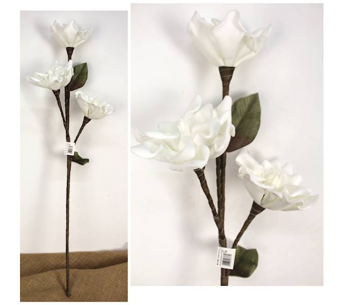 Magnolia piankowa "3", wys. 90 cm, biała, zielona