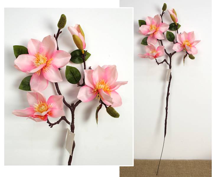 Magnolia 3+pąk różowa