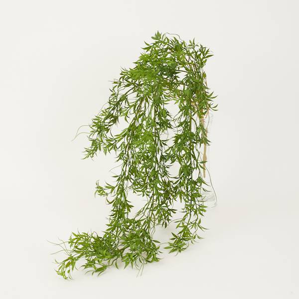 Asparagus wiszący, 2 odcienie, 104 cm