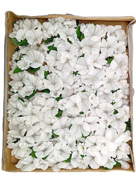 Stroik na świece biały 16x7 cm ,op.24