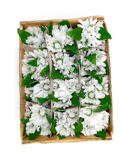 Stroik na świecę  biały 13x7 cm, op.24