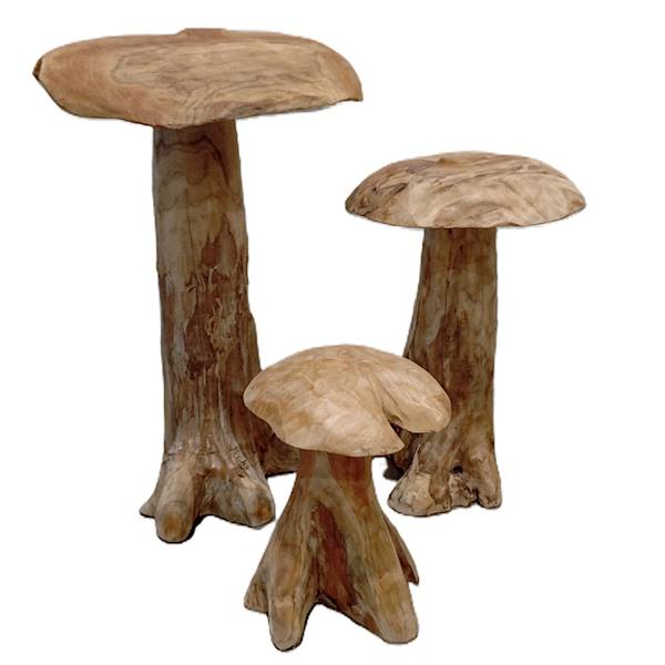 Teak grzyby średnie trzy