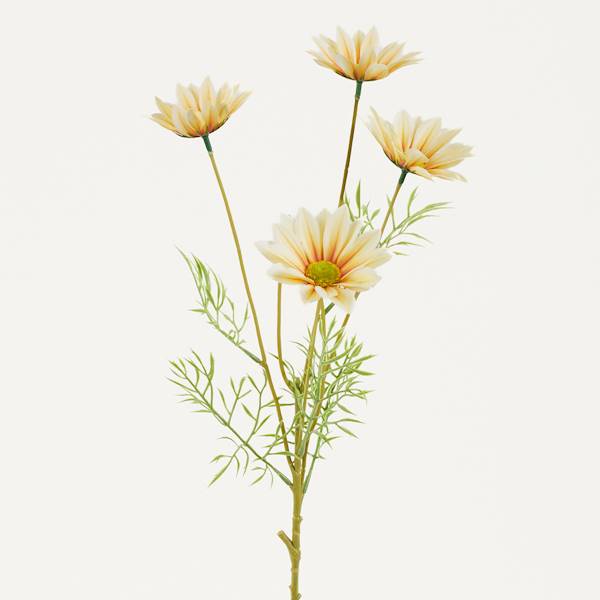 Rumianek 65 cm, 5 kolorów