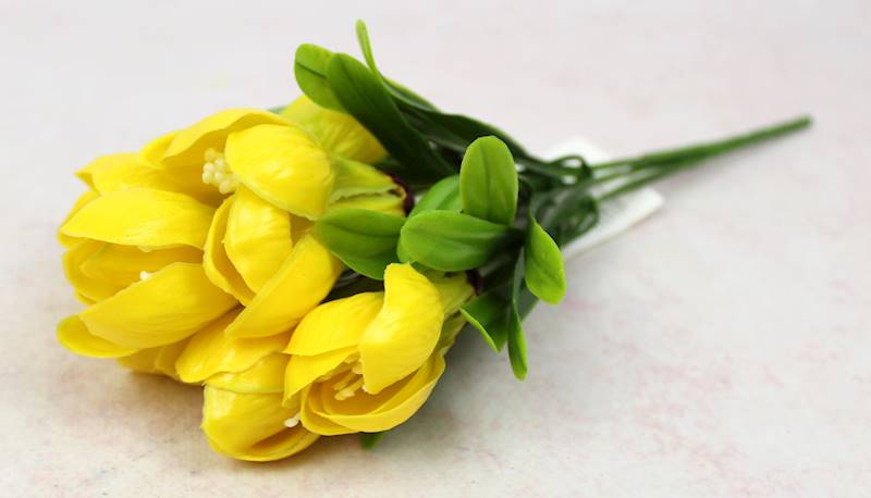 krokus gumowy "6", 4 kolory