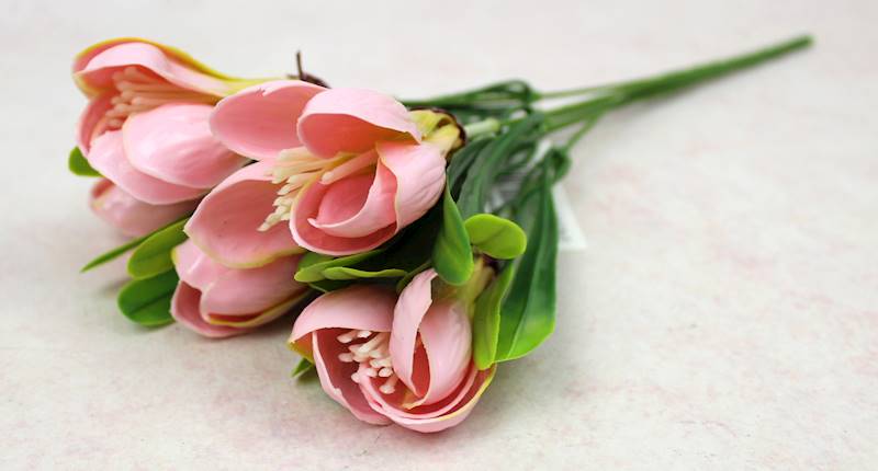 krokus gumowy "6", 4 kolory