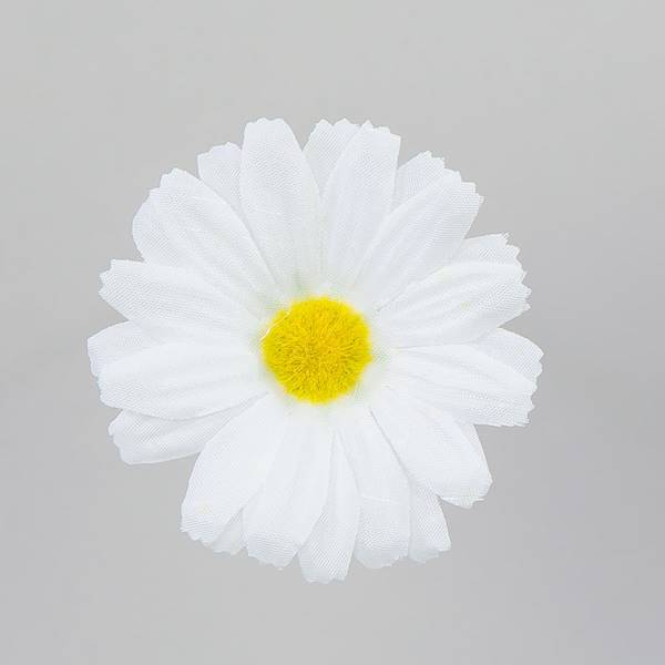 rumianek główka 5 cm, op.120