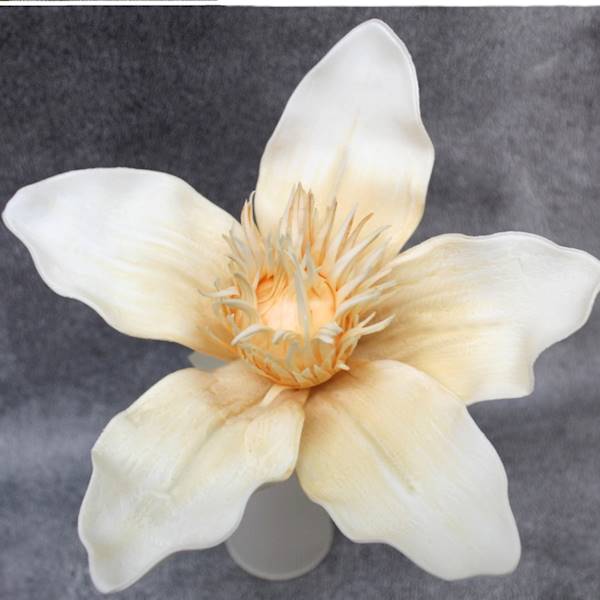 Magnolia 50, kwiat 28 cm, 3 kol:brzosk, róż, ziel.