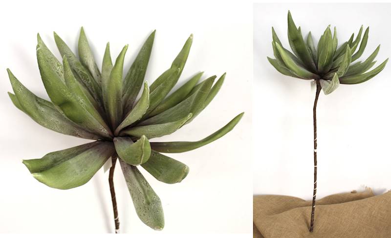 Agawa piankowa 78cm, zieleń 