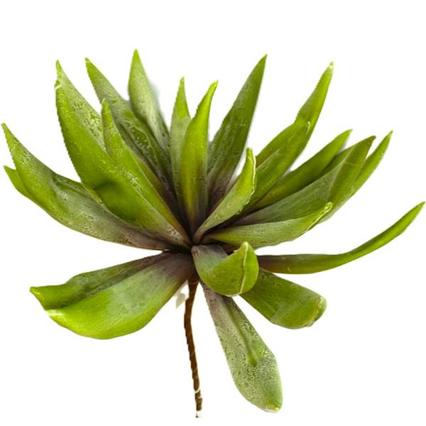 Agawa piankowa 78cm, zieleń