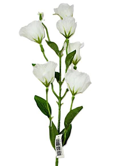 Eustoma biała/krem 85cm, 6 kwiatów