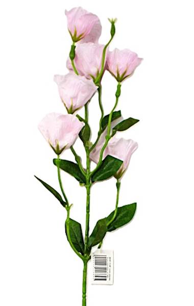 Eustoma róż/róz pastel, 85cm, 6 kwiatów