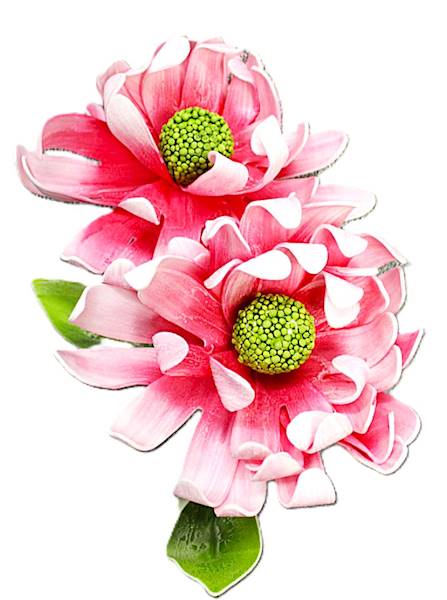 Dalia pianka 80cm, róż/fiolet, dwa kwiaty 25cm