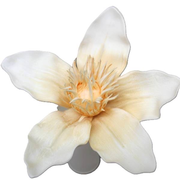 Magnolia pianka 55cm, kwiat 27cm, beż, zieleń