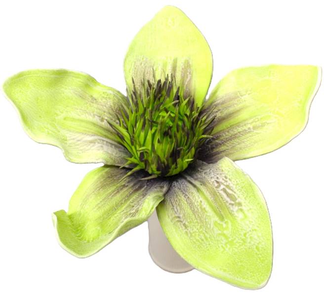 Magnolia pianka 55cm, kwiat 27cm, beż, zieleń