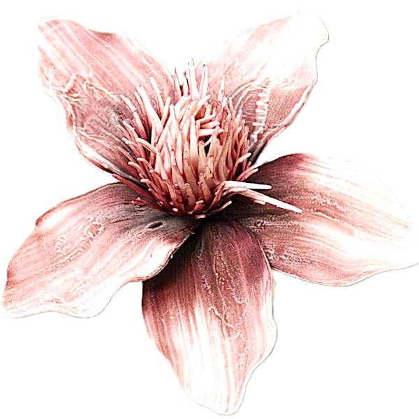 Magnolia pianka  55cm, kwiat 27cm,  róż, fiolet