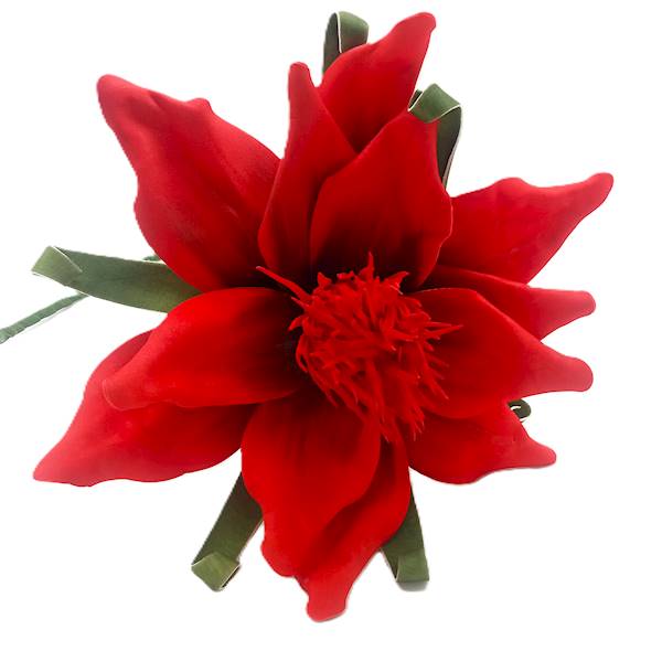 Magnolia pianka czerwona 78cm,  kwiat 30 cm