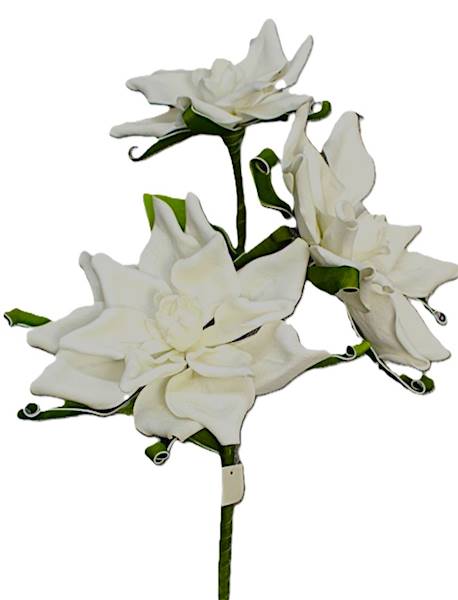 Magnolia pianka 78 cm, biała z liśćmi, 3 kwiaty