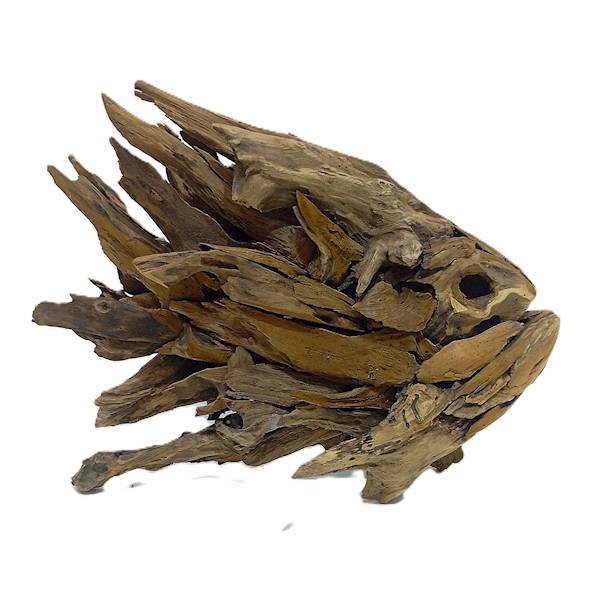 Teak ryba