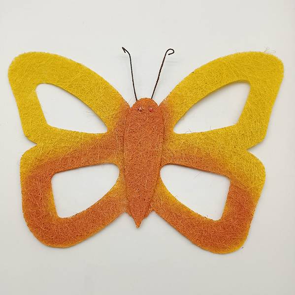Motyl sizal mały