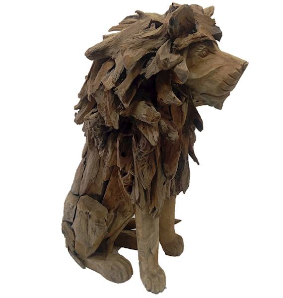 Teak lew duży