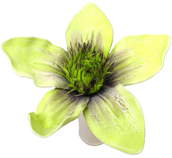 Magnolia pianka 55cm, kwiat 27cm, beż, zieleń