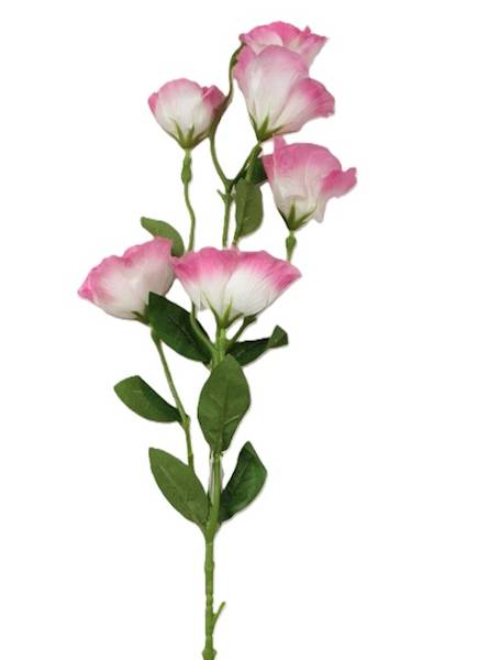 Eustoma róż/róz pastel, 85cm, 6 kwiatów