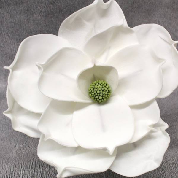 magnolia biała kwiat 30 cm